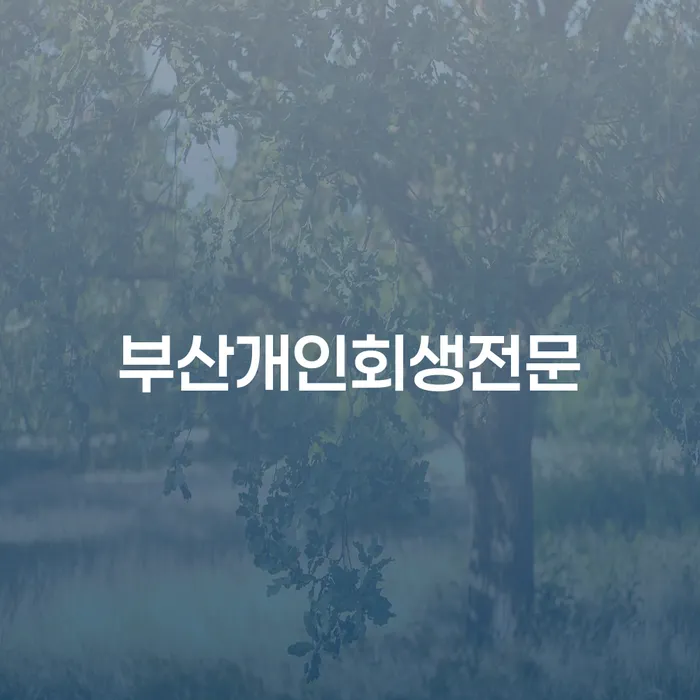 개인파산기간 개인회생으로 해결 노하우들