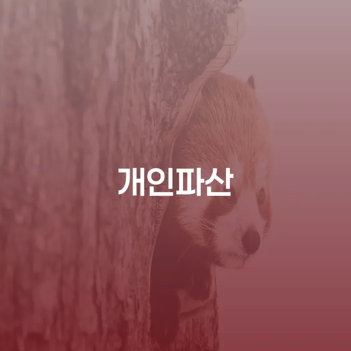 계좌압류해제 개인회생으로 해결 실제사례