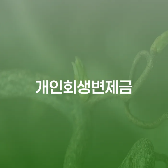 개인회생기각 채무 효과적인 해결방법 미리알기