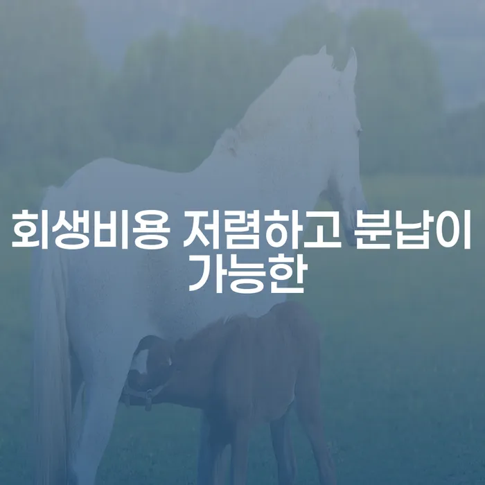 면책금 개인회생 문제해결방법 무료상담