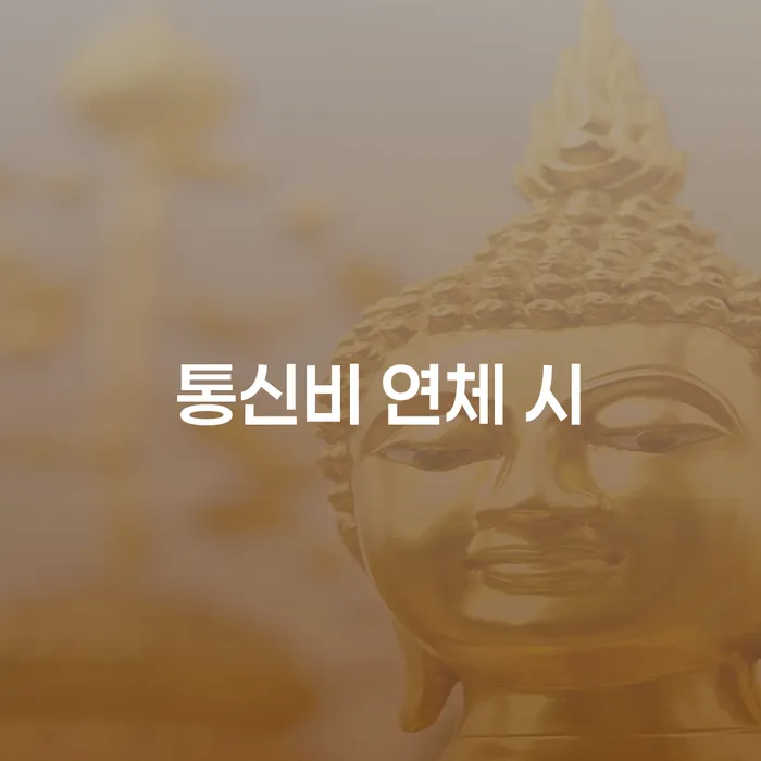 신협대환대출 연체 시 연체 채무 신속해결방법 무료로 확인하는 방법