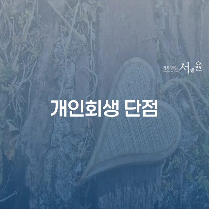 파산선고 연체 채무 신속해결방법 경험 많은 곳에서