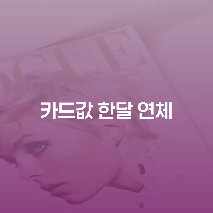순창군 캐피탈대출 연체 시 추심 대응법 상세히알기