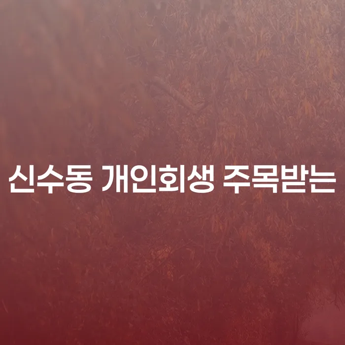 신수동 개인회생 주목받는