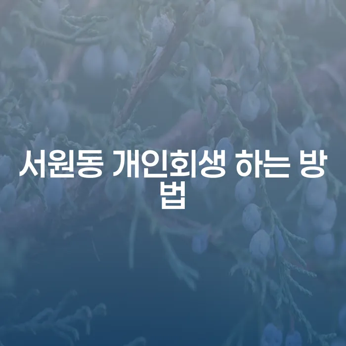 서원동에서 개인회생을 어떻게 시작해야 할까요?