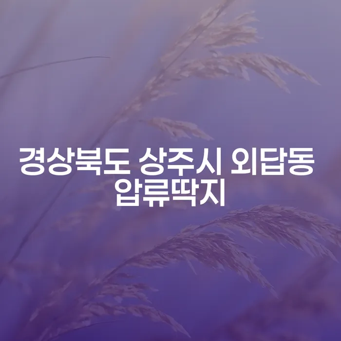 경상북도 상주시 외답동에서 압류딱지를 받았다면 어떻게 해야 할까요?