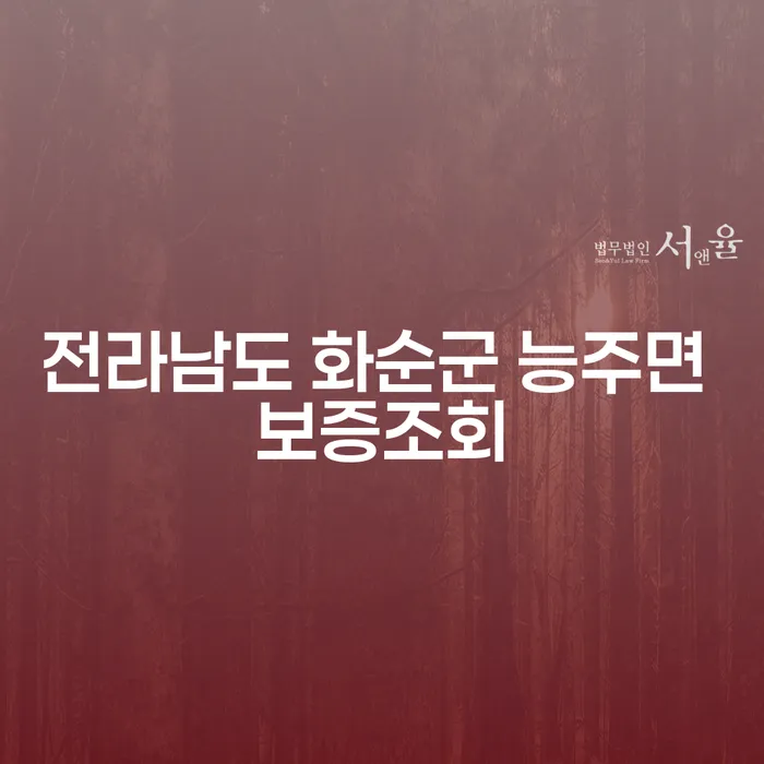 전라남도 화순군 능주면에서 보증조회를 통해 채무 해결하는 방법은 무엇일까요?
