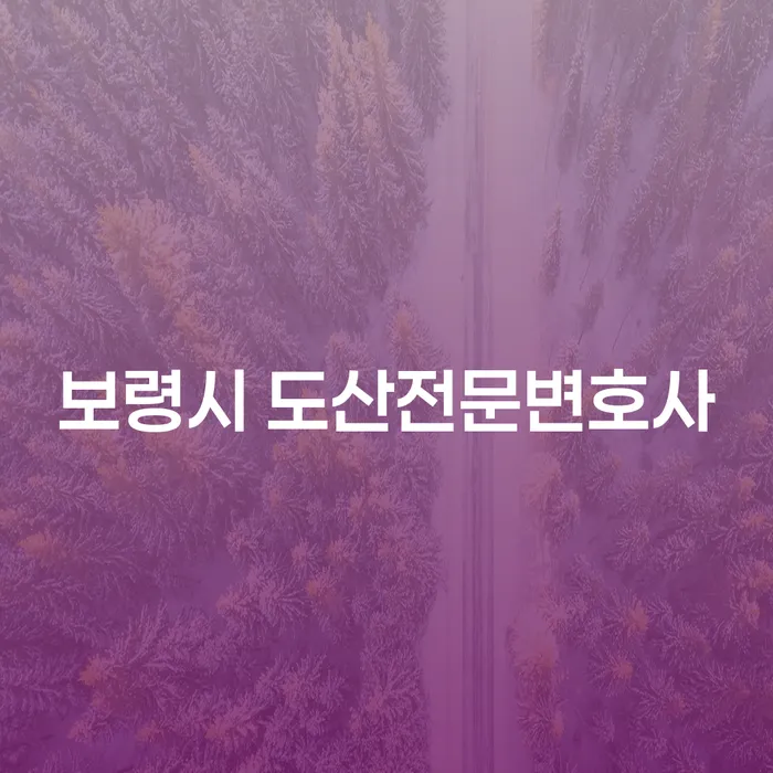 보령시 도산전문변호사와 함께 개인회생과 전세자금대출 문제를 해결할 수 있을까요?