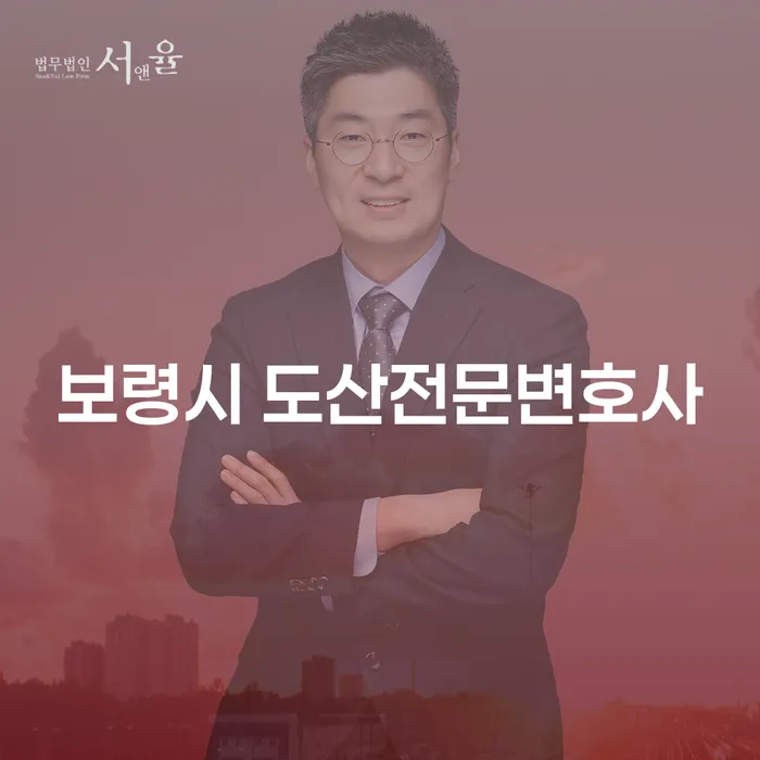 보령시 도산전문변호사와 함께하는 효과적인 개인회생과 파산 절차는?