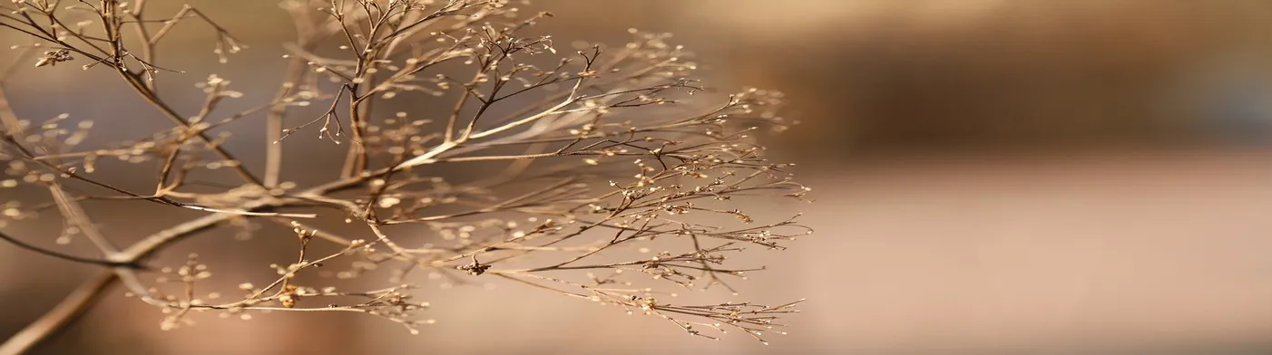 법무법인 서앤율